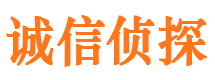 湖口市侦探调查公司